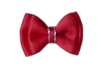 Hundeschleife/Bandbreite 2,5cm